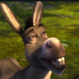 Meet your Posher, Jamie